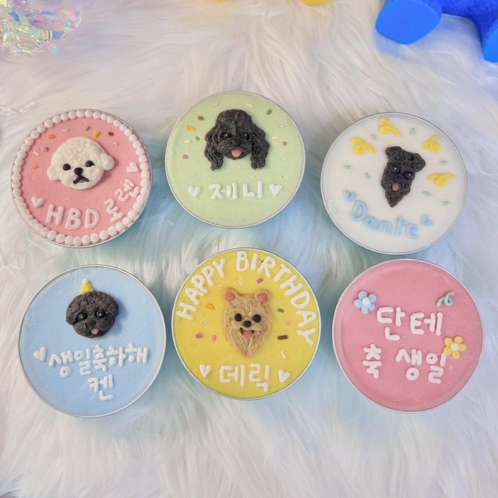 테이스팅독 강아지 얼굴 컵케이크 수제 애견 간식 동탄강아지케이크 동탄수제간식