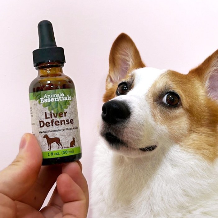 애니멀에센셜 강아지 고양이 밀크시슬 간 영양제 액상 간팅크 30ml 2개월분 NASC 인증, 1개