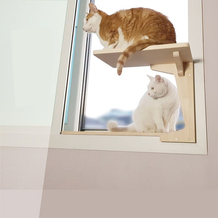 윈도캣 창문 창틀 선반 스카이 냥냥 전망대