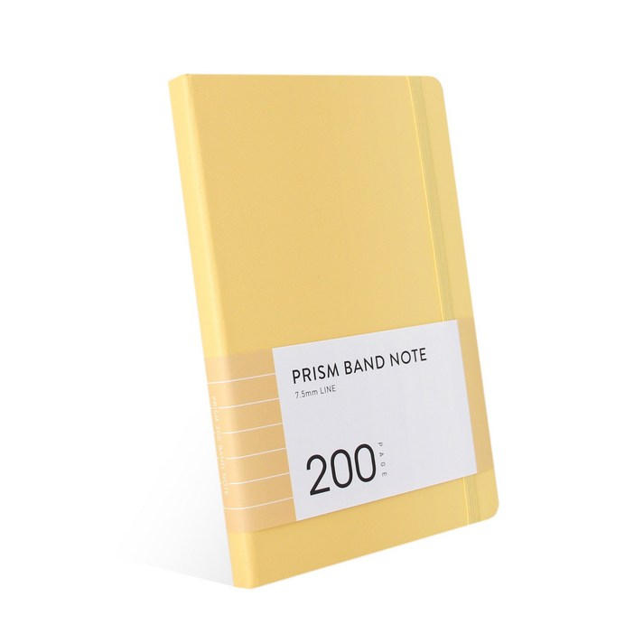 인디고 프리즘 200 밴드노트 라인