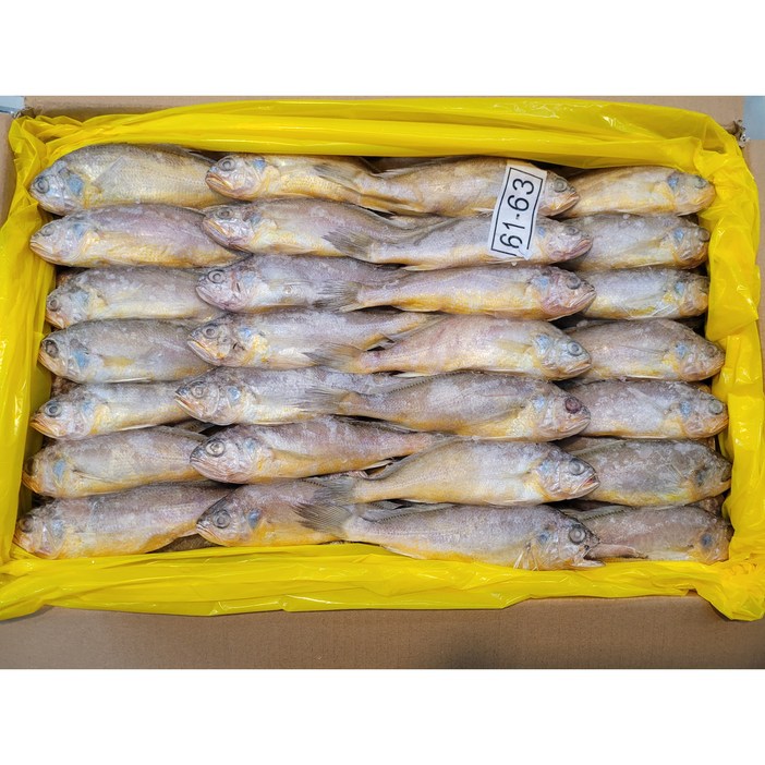 참조기61/63마리(3.4~3.5kg,61~63마리내외)(업소용,백반)