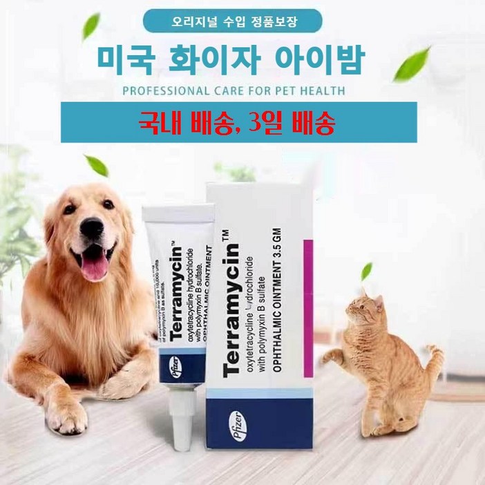 테라마이신 안연고 고양이 눈병 고양이 결막염 강아지 눈병 강아지 결막염 안연고 반려견 반려묘 눈 감염 치료 세균성 염증연고