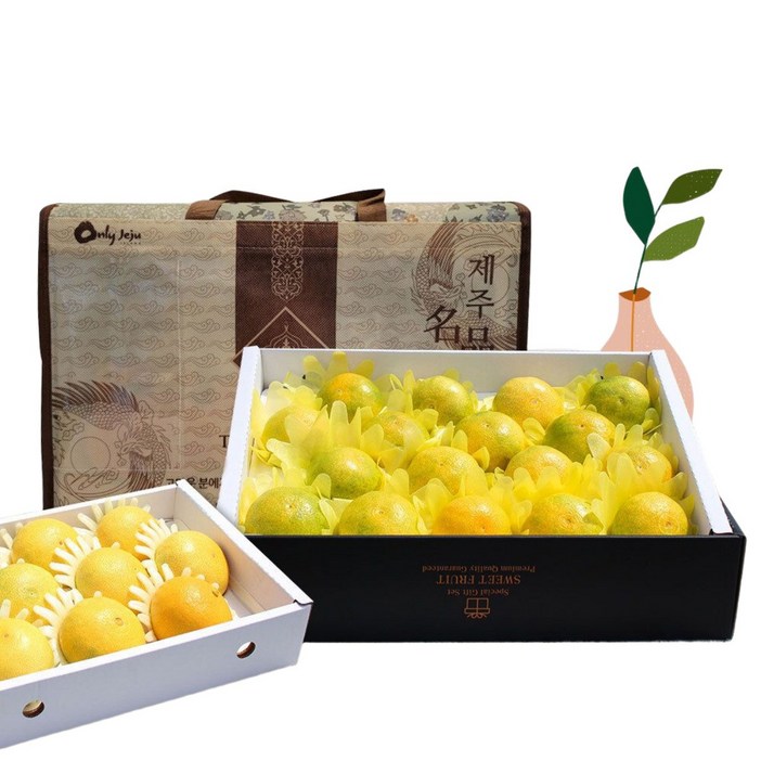 100 제주 초고당도 황금향 선물세트