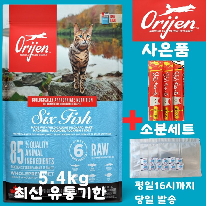 오리젠 6 식스 피쉬 캣 (견성상사 단독 사은품 증정 판매자 확인필수)