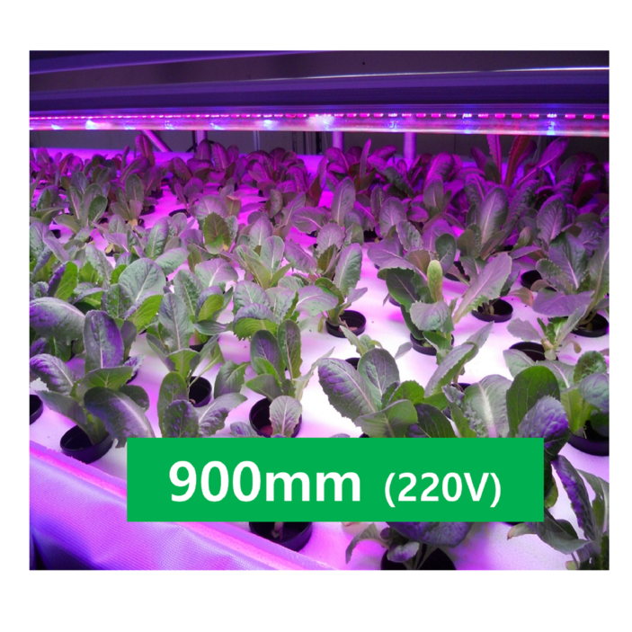 성광엘이디 방수 LED 식물등 900mm 국내생산, 1개, 바타입 GBT900W 성광엘이디 방수 LED 식물등 900mm 국내생산, 1개, 바타입 GBT900W