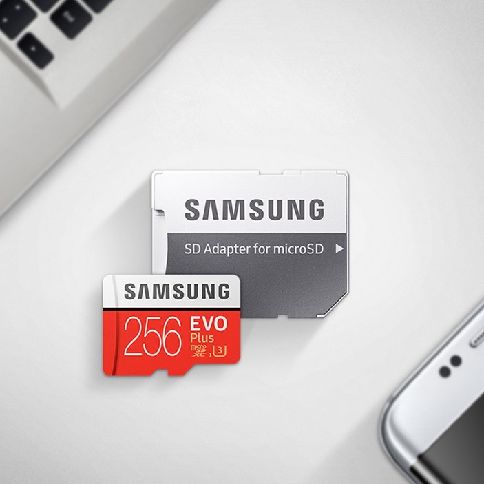 삼성 SD 메모리카드 256GB EVO plus CLASS 10, 256GB, 1개