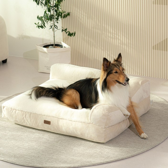 강아지침대 펫테일 강아지 은나노 리저브 방석 쿠션 침대 쇼파, 네추럴 베이지 XL+ 미니쿠션 2개