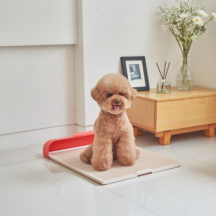 모노모그 스윙배변판 무한연장 일체형 대형 강아지 배변판