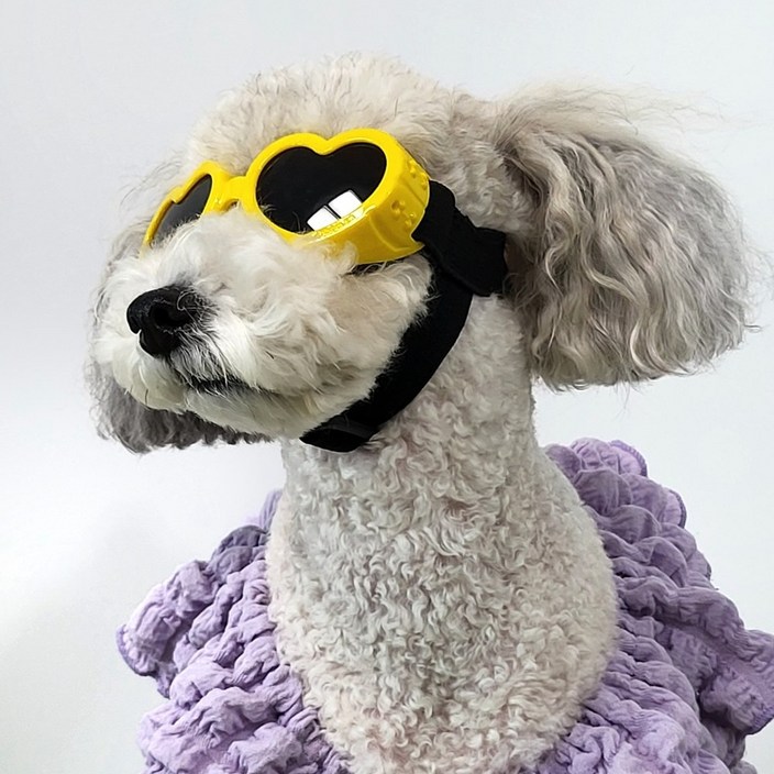 펫카 자외선 UV차단 반려견 강아지 선글라스 고글 하트, 옐로우, 1개