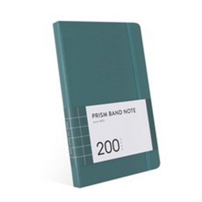 인디고 프리즘 200 밴드노트 모눈