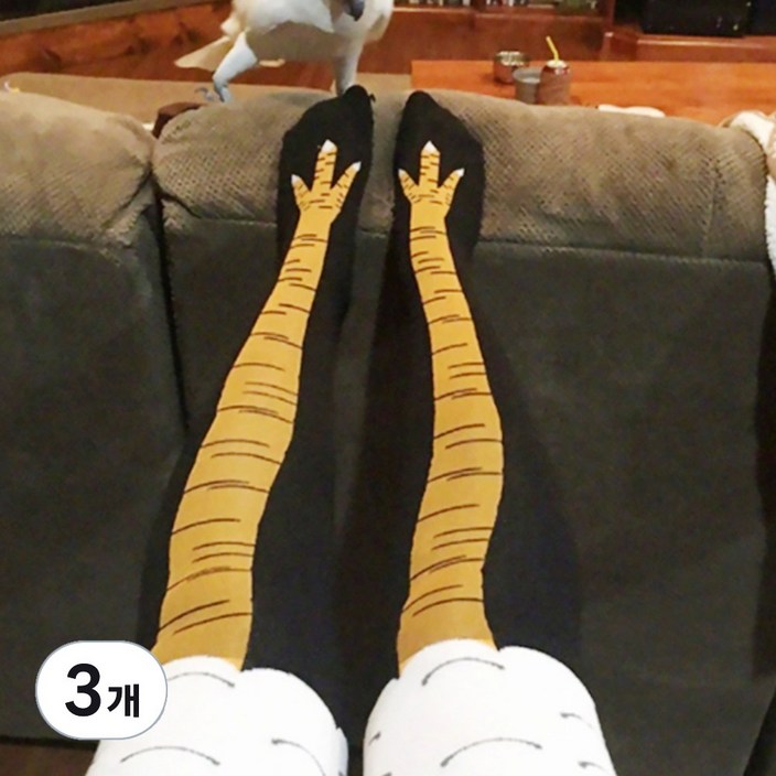 바른리빙 재밌는 닭발양말 세트 쓸모없는 친구 선물 바른리빙 재밌는 닭발양말 세트 쓸모없는 친구 선물