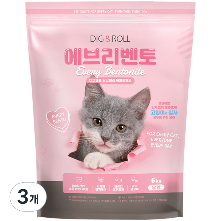 디그앤롤 에브리벤토 나이트 고양이 모래