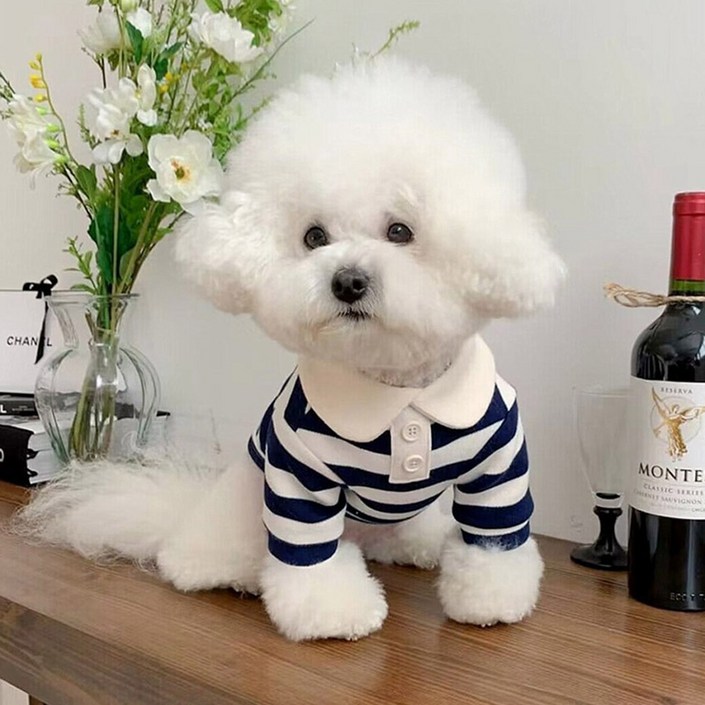 딩동펫 반려동물 앤유 스트라이프 카라 티셔츠
