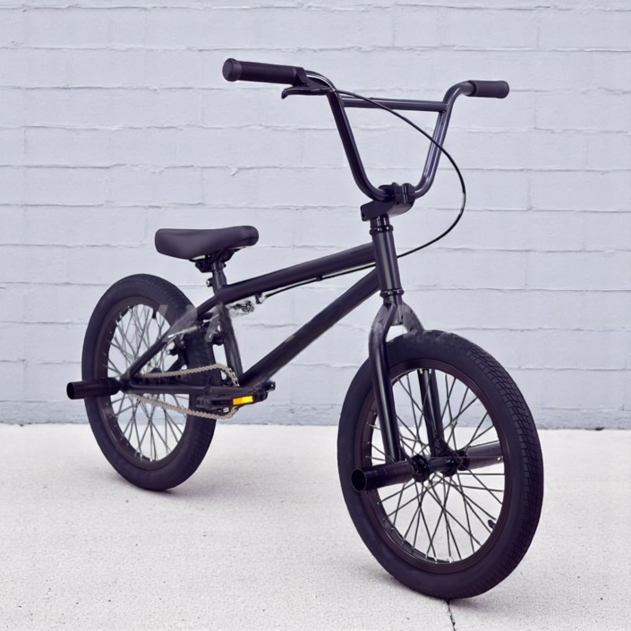 셔닉스 BMX 묘기 자전거 입문용