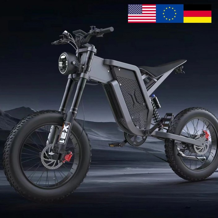 유럽 수출용 고사양 프리미엄 산악전기자전거 X21SE, 혼합색상, 알루미늄