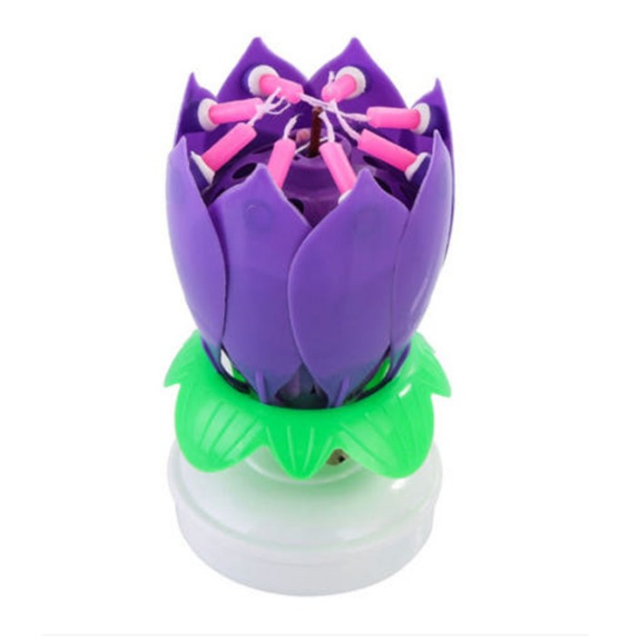 스토리빙 생일 축하 초 연꽃 멜로디 선물 파티 용품  숫자 토퍼 19p 세트, 퍼플