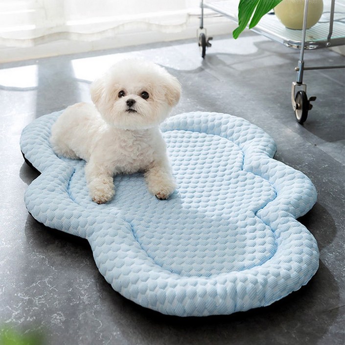 에브리샤인 강아지 고양이 쿨링 방석, 민트그린