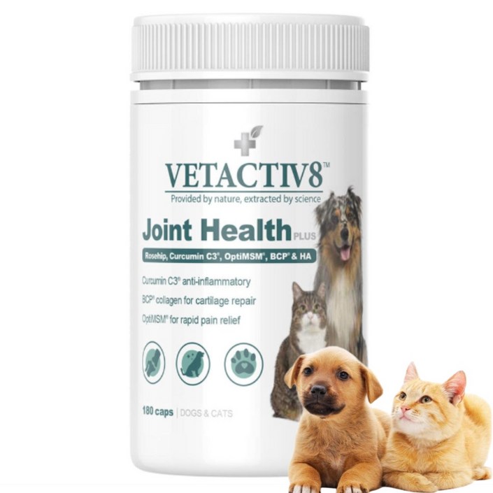 벳액티브8 반려동물 조인트 헬스플러스 캡슐형 강아지 고양이 관절영양제 60캡슐180캡슐