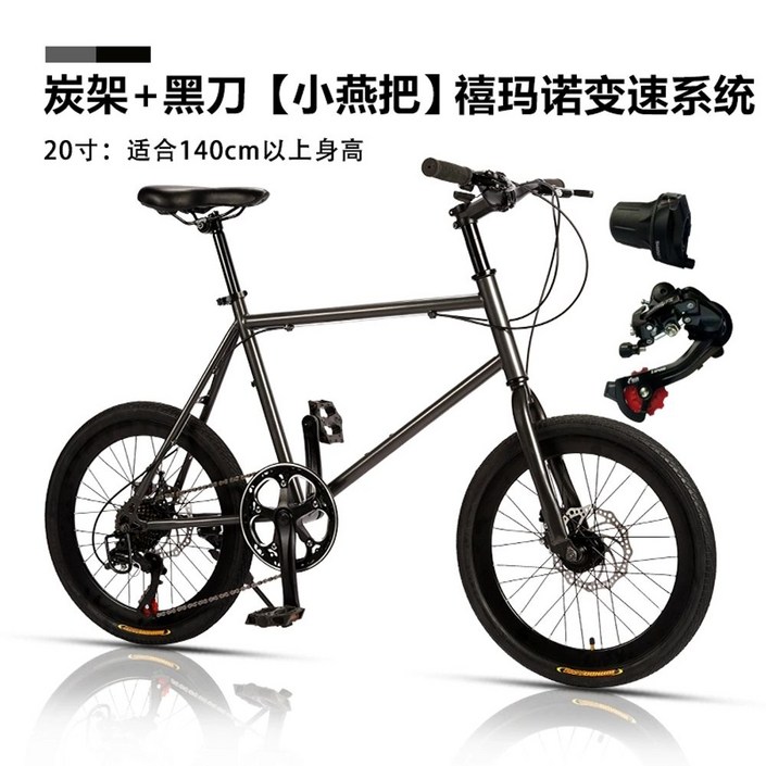 턴 24년 25년 일본직배송 AMP F1 앰프 ROJI BIKES 미니벨로