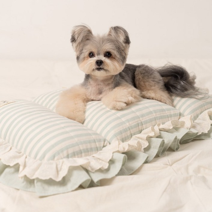 리토가토 강아지 포포프릴 펫모차 쿠션