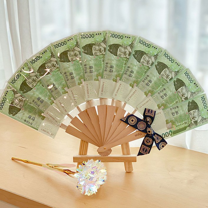 이플린 블링 조화 카네이션 한송이 꽃다발 + 돈부채 10p 세트