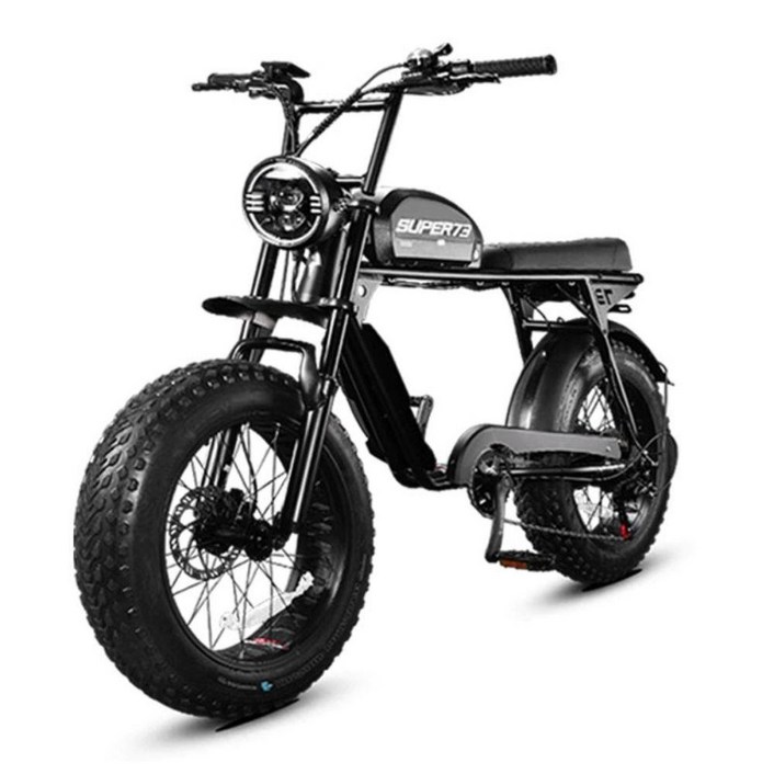 슈퍼레트로 표준 전기 자전거 출퇴근 자토바이 MTB 프로 팻바이크