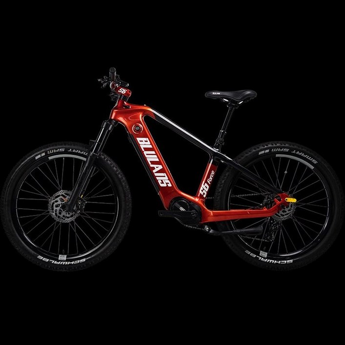 2025 BLULANS S6 전기자전거 카본 MTB 산악 EBIKE
