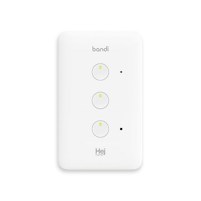 헤이홈 IoT 스마트 조명 스위치 2선식 3구, 1개