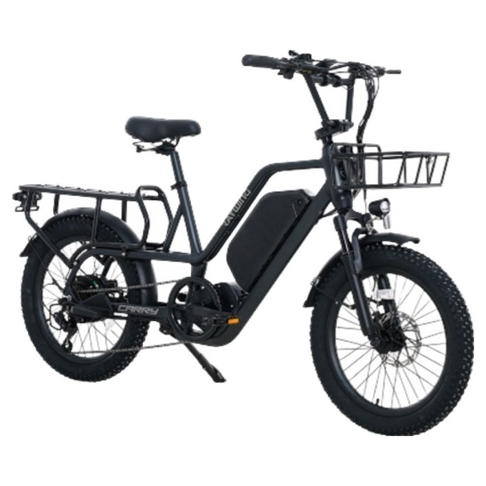 레이윙 캐리 전기자전거 삼성셀 배터리 25Ah 고객직접설치, 팬텀블랙, 알루미늄