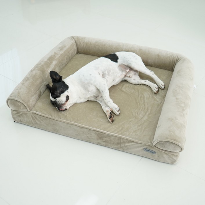 레드퍼피 강아지 피노침대