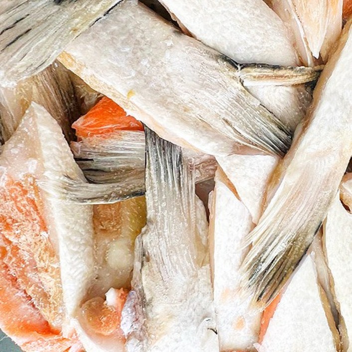 연어 배꼽살 뱃살 2kg 연어특수부위 구이 별미 칠레산