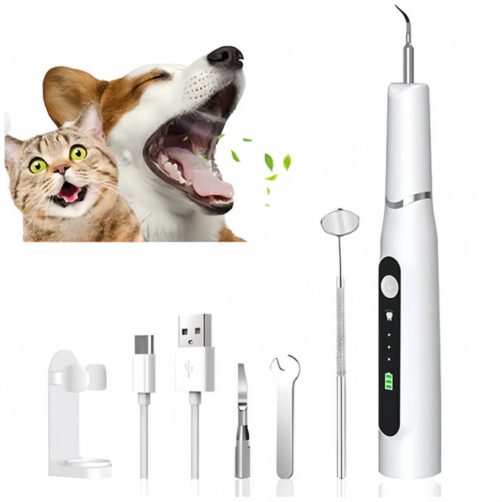 강아지치석제거기 반려동물 초음파 구강청결 치석제거