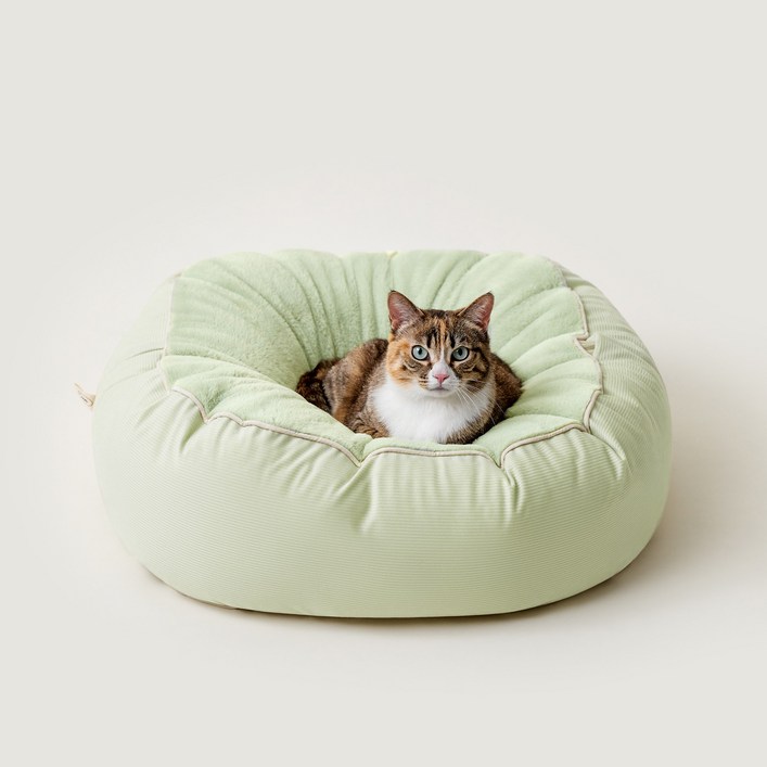 아르르 고양이 양면 꿀잠해먹방석