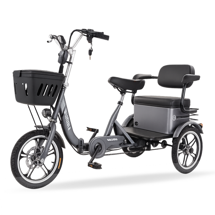 모션엑스 2인용 세발전기자전거 접이식자전거 전동자전거