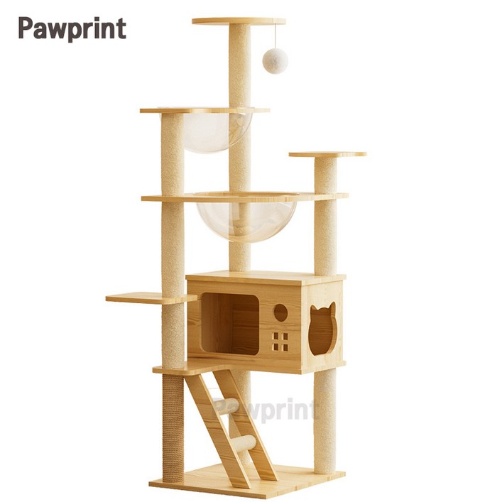 Pawprint 나무 캣타워 우드톤 투명아크릴 우주선캡슐 다기능일체형 넓은고양이굴 견고무흔들 설치간편 소형주택 거실 고양이놀이구역 다묘가정 초보집사 소형고양이용 Pawprint 나무 캣타워 우드톤 투명아크릴 우주선캡슐 다기능일체형 넓은고양이굴 견고무흔들 설치간편 소형주택 거실 고양이놀이구역 다묘가정 초보집사 소형고양이용