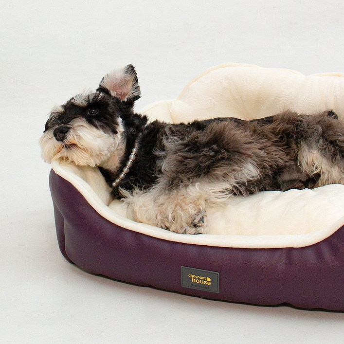 초코펫하우스 강아지 방석 쿠션 침대 로얄 사각 방석 2.0, 브라운