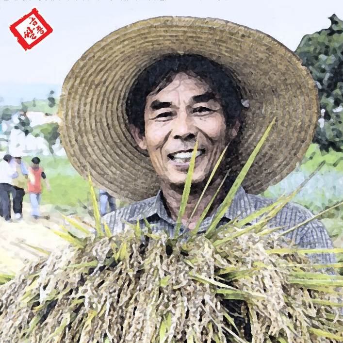 금종쌀 친환경 고시히카리 당일도정 쌀눈 저온저장 백미 5kg, 10kg, 상등급, 1개, 10kg