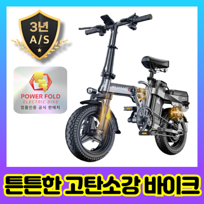 파워폴드 세이프 접이식 전기 자전거 경량 전동 바이크 휴대용 배달용 출근용, 블랙, 스틸 파워폴드 세이프 접이식 전기 자전거 경량 전동 바이크 휴대용 배달용 출근용, 블랙, 스틸