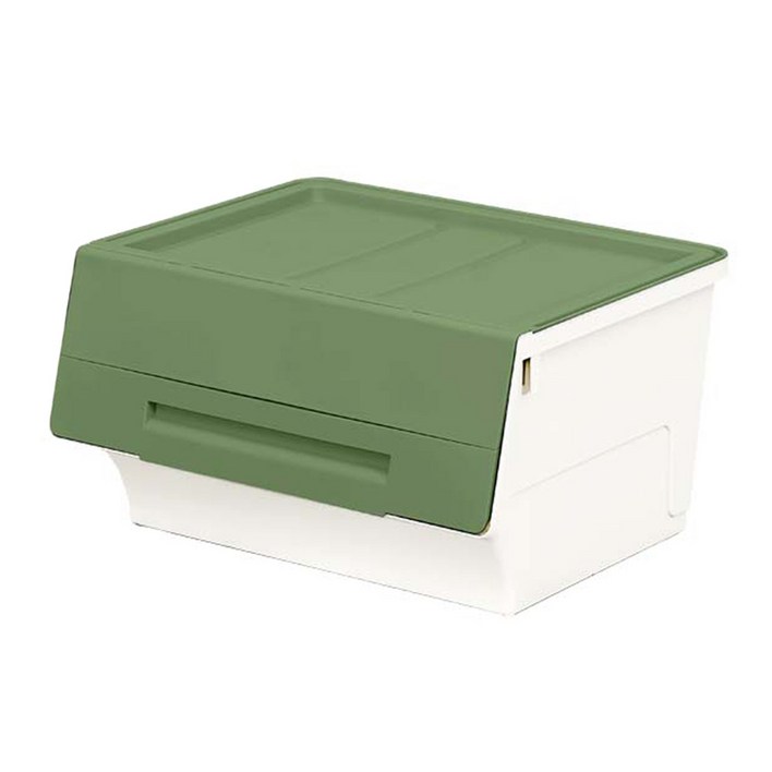 리빙앤트리 펠리컨박스 수납함 대형중형소형, 그린, 1개