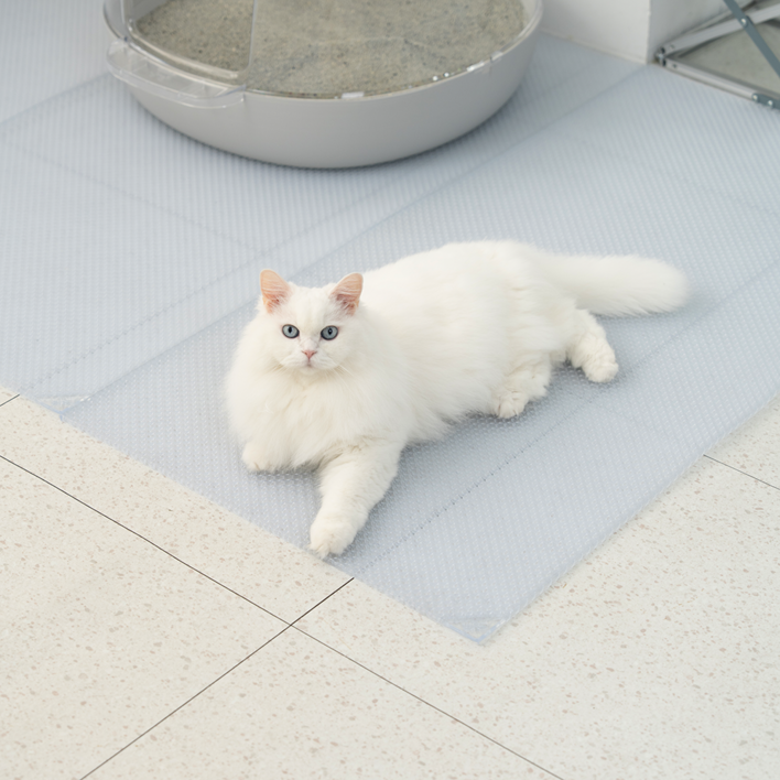 냥쌤 투명 캐치매트 고양이 모래 매트 사막화 방지 발판 패드, 3개, 투명