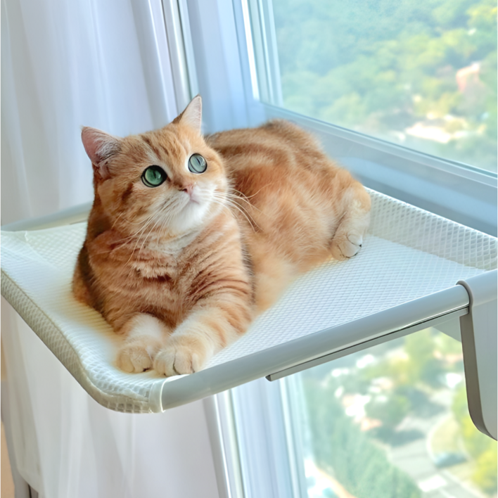 오르펫 고양이 창문 해먹 캣타워 창틀 선반 침대