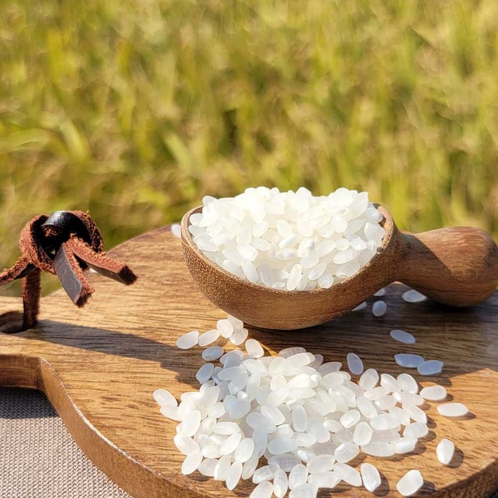 단일품종 신동진 백미20kg