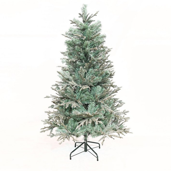 도시정원 피오르드 알파인 전나무 트리