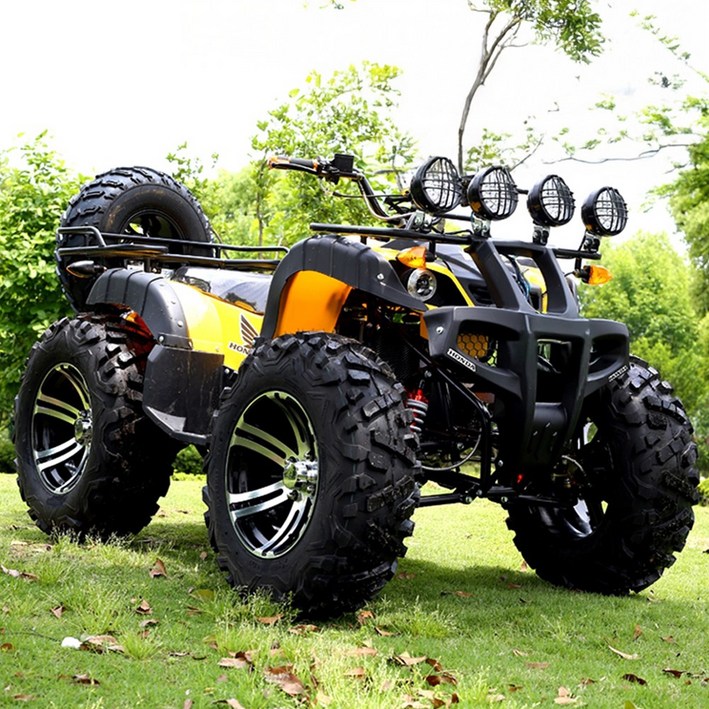 폴스카이 농업용 ATV 사륜 오토바이 4륜 농사용 바이크, 블랙, 150CC 스페셜 에디션