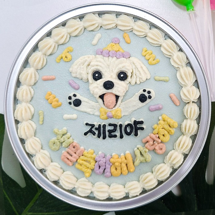강아지 생일 케이크 반려동물 수제 주문형 강아지보틀케이크 주문제작 케이크