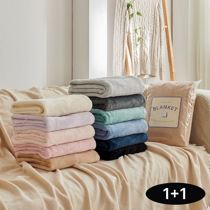 데시뉴 에센스 솔리드 양면 극세사 담요 2개 세트