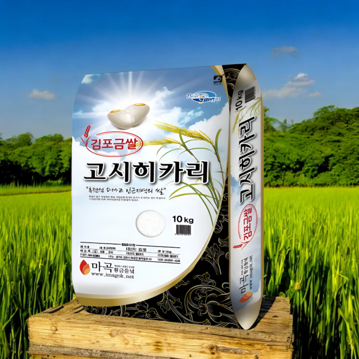 (일일한정판매 ) 2025년 햅쌀 백미 [ 김포 금쌀 고시히카리 쌀 ], 10kg, 1박스, 상등급