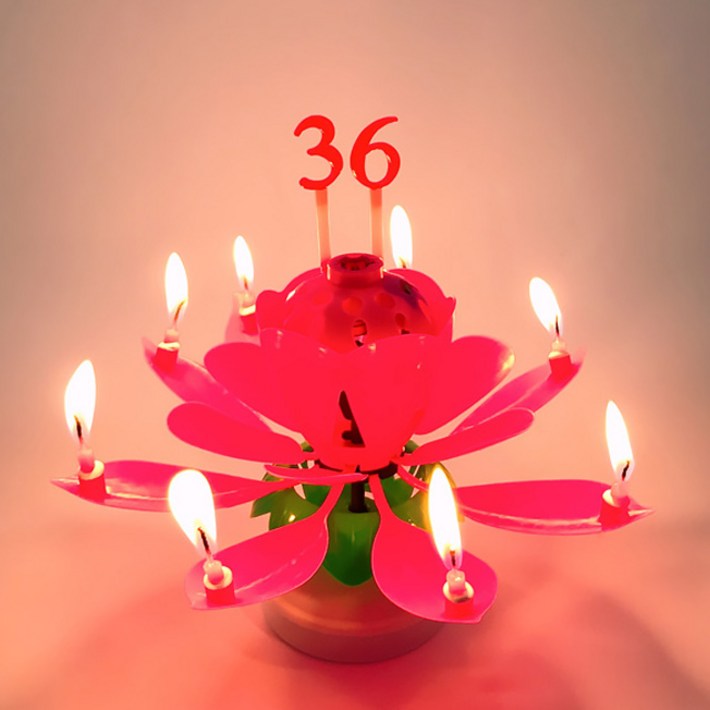 스토리빙 생일 축하 초 연꽃 멜로디 선물 파티 용품 숫자 토퍼 19p 세트, 레드