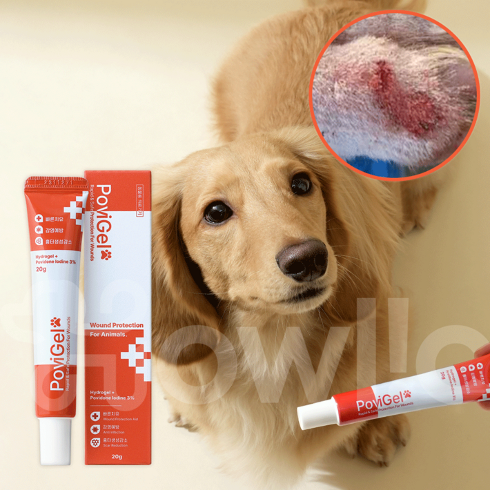 하울릭 강아지 고양이 피부병 아토피 외이염 연고 포비겔