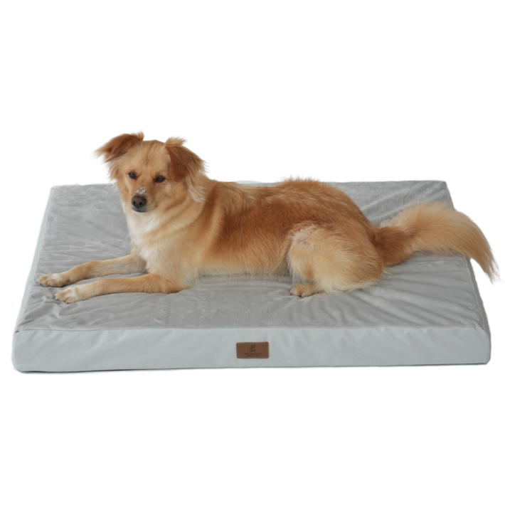 피치가든 대형견 커버분리형 꿀잠 마약 사각방석 01 L2XL, 1개, 그레이